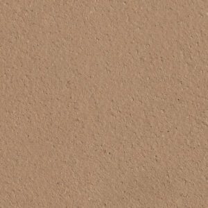 Pecan Sample Tile